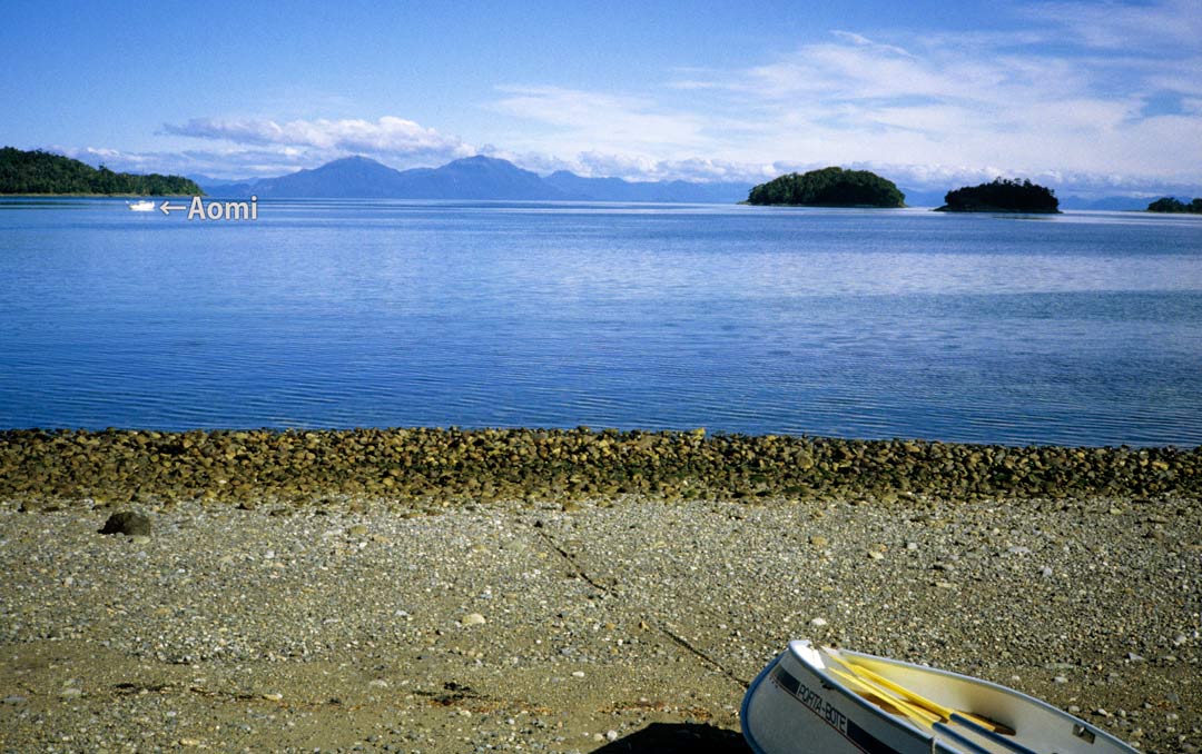 Islands in the norh Patagonia